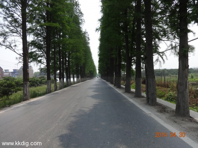 DSC00315
