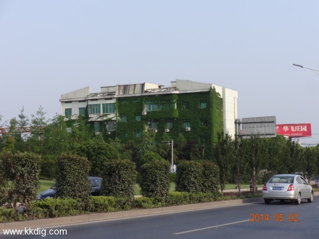 DSC00531