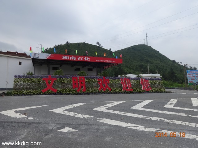 DSC02387