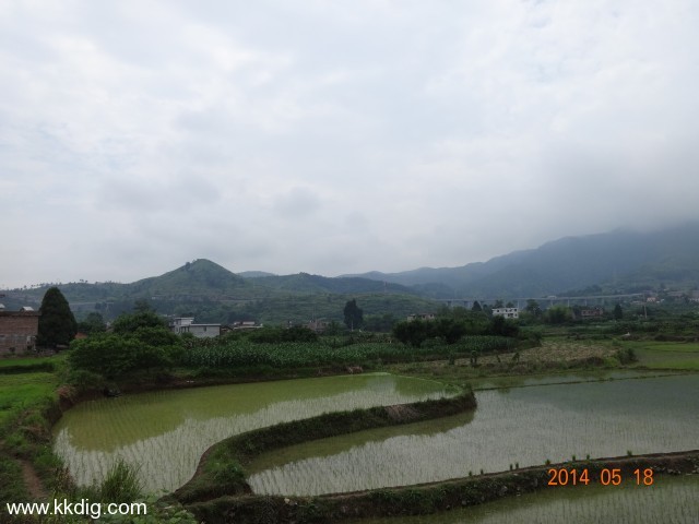 DSC02391