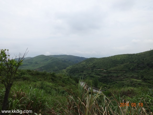 DSC02394