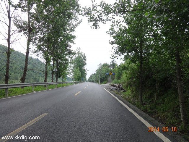 DSC02436