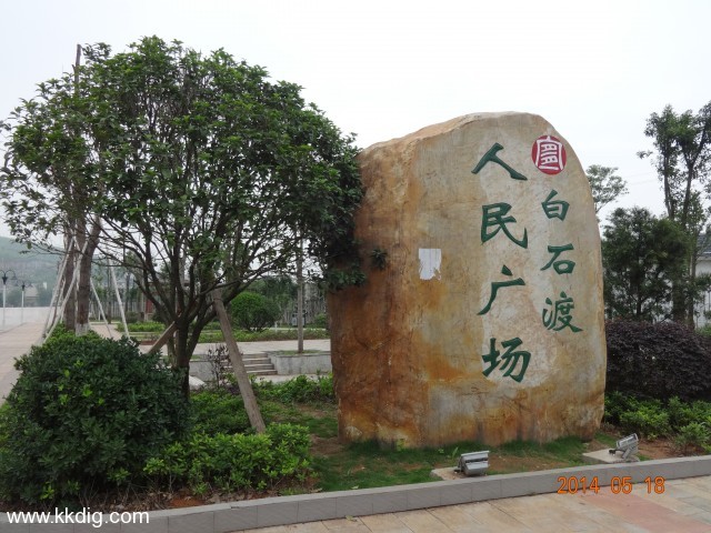 DSC02460