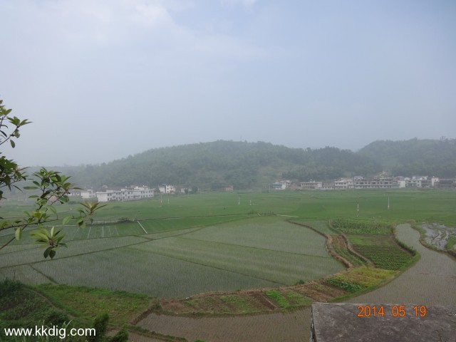 DSC02496
