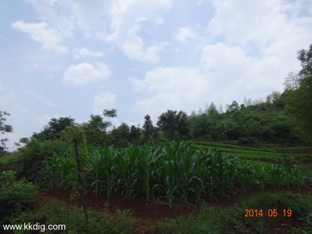 DSC02522