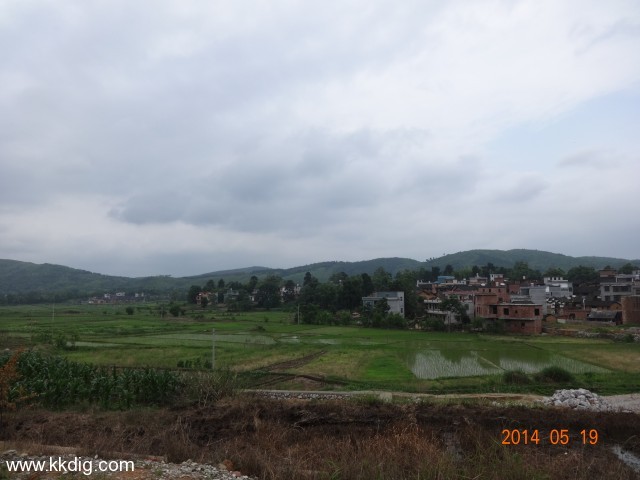 DSC02534