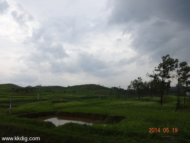 DSC02546