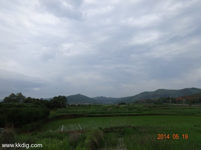 DSC02553