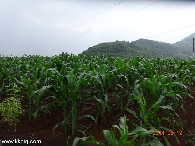 DSC02584