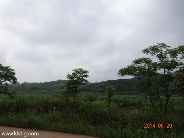 DSC02607