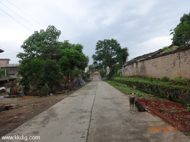 DSC02815