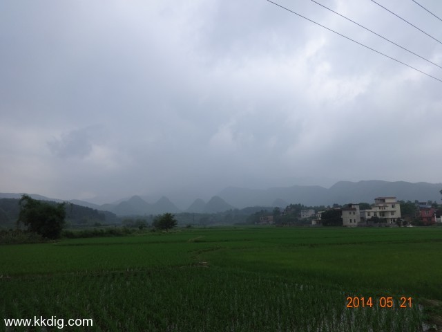 DSC02817