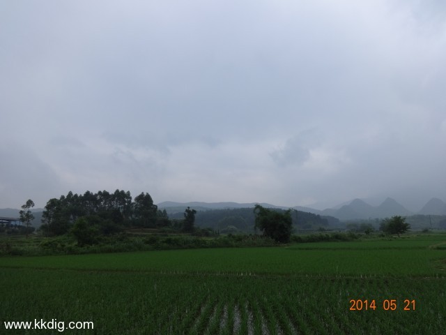 DSC02819