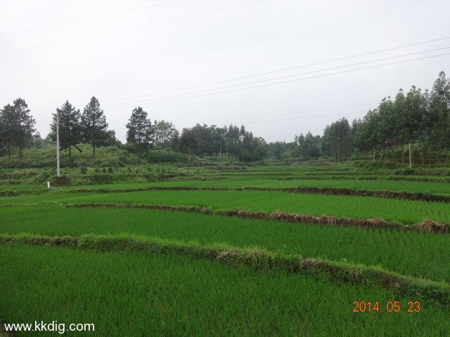 DSC02906