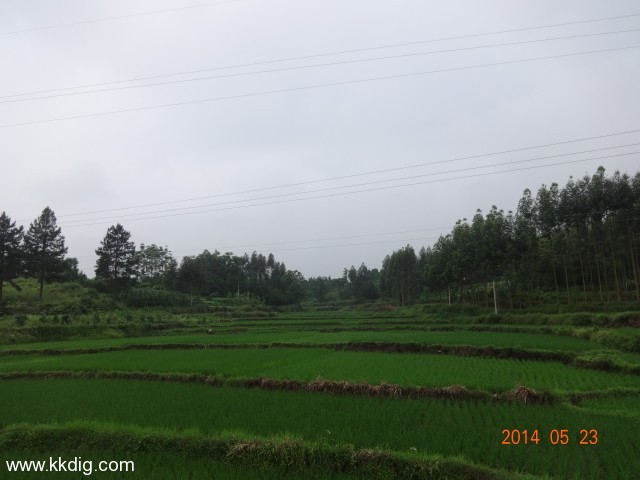 DSC02907