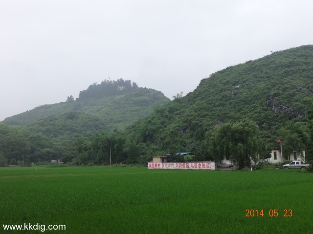 DSC02921