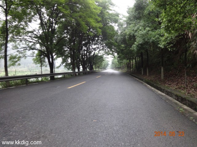 DSC02941