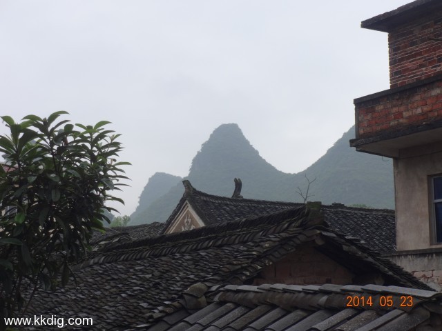 DSC02986