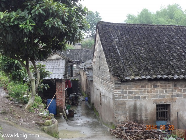 DSC02988
