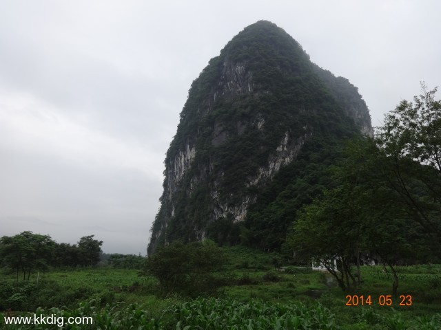 DSC02992