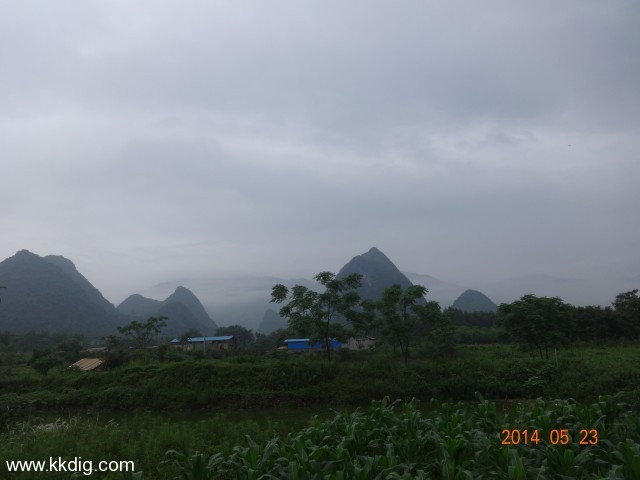 DSC02993