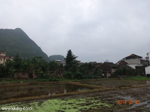 DSC03004