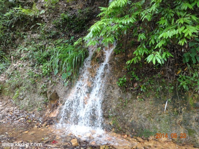 DSC03026