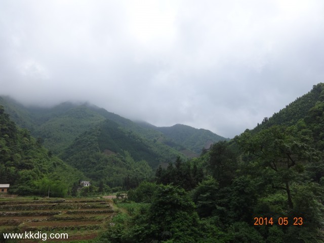 DSC03035