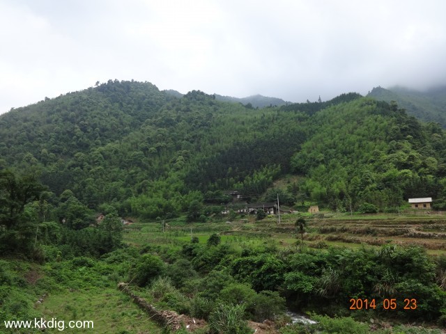DSC03036