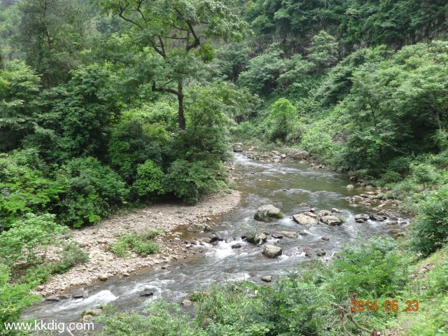 DSC03038