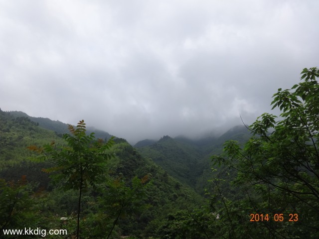DSC03039