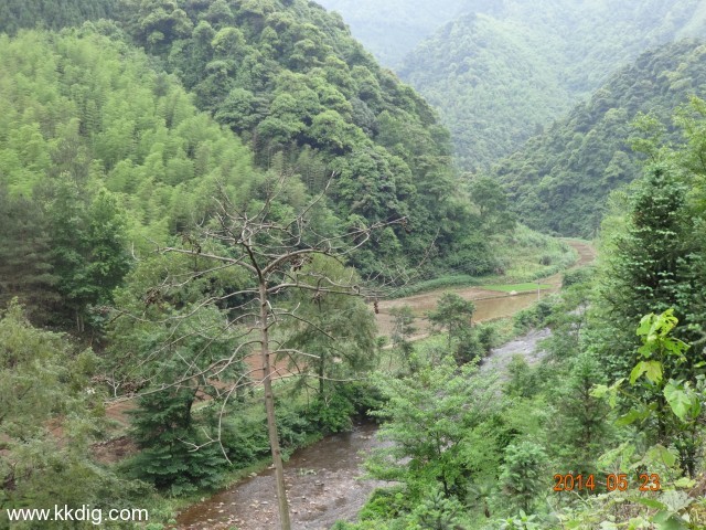 DSC03048