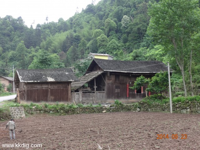 DSC03084