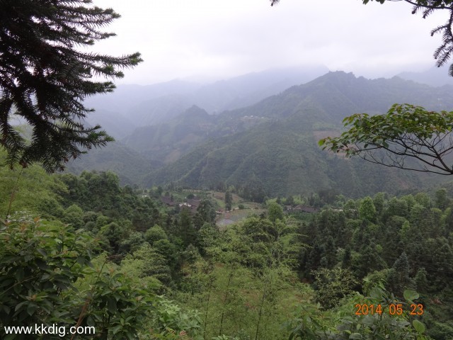 DSC03122