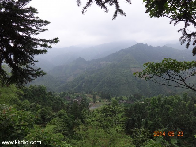 DSC03124