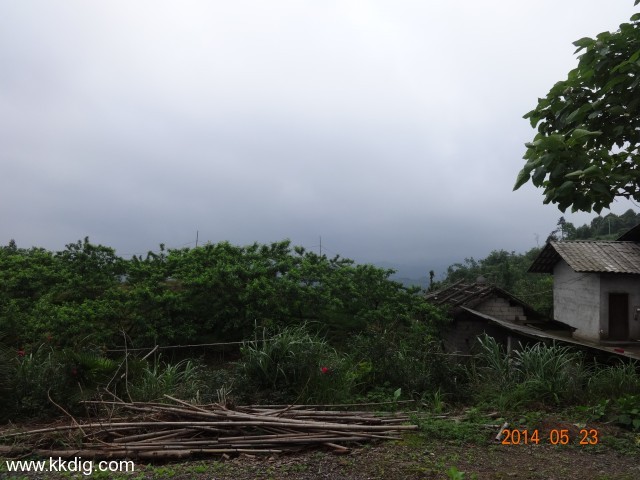 DSC03131