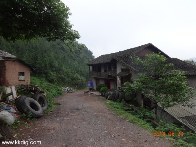 DSC03141