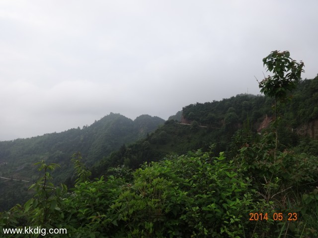 DSC03164