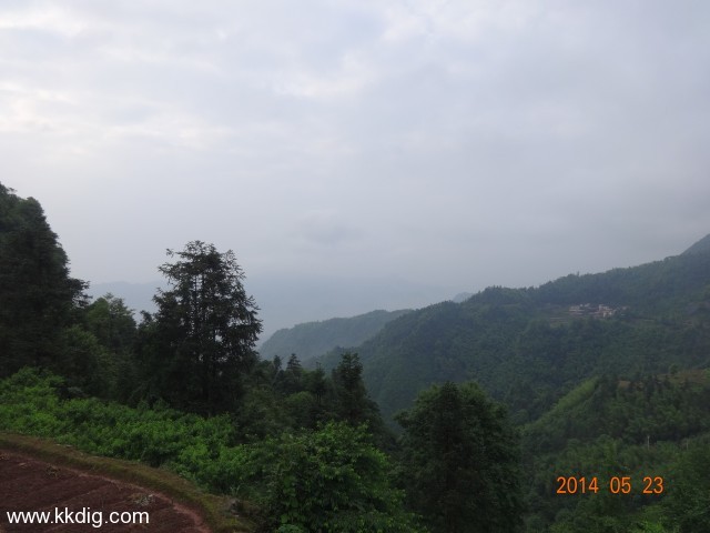 DSC03169