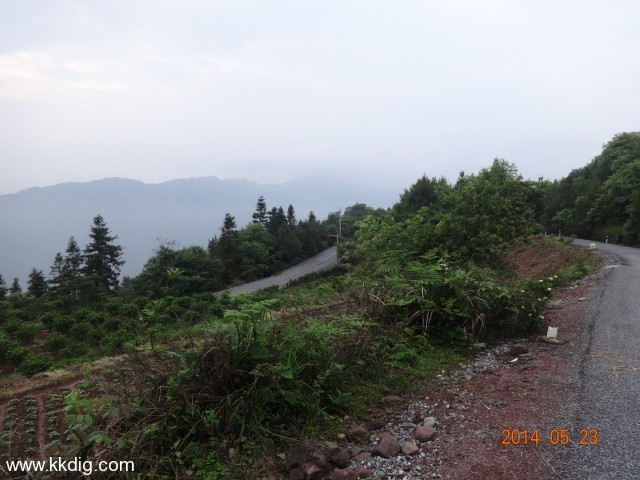 DSC03182