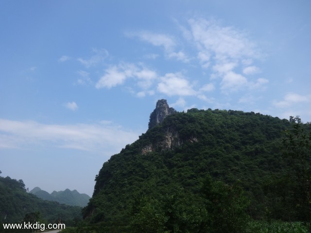 DSC03239