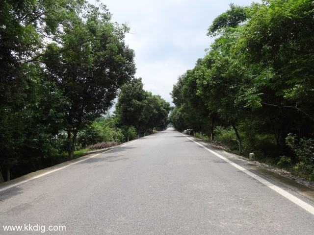 DSC03283