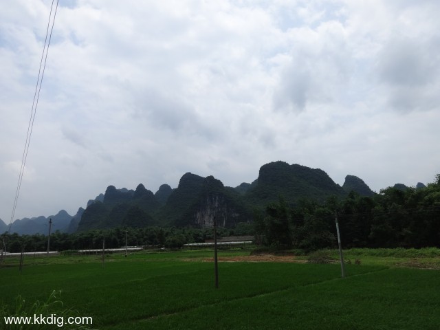 DSC03306