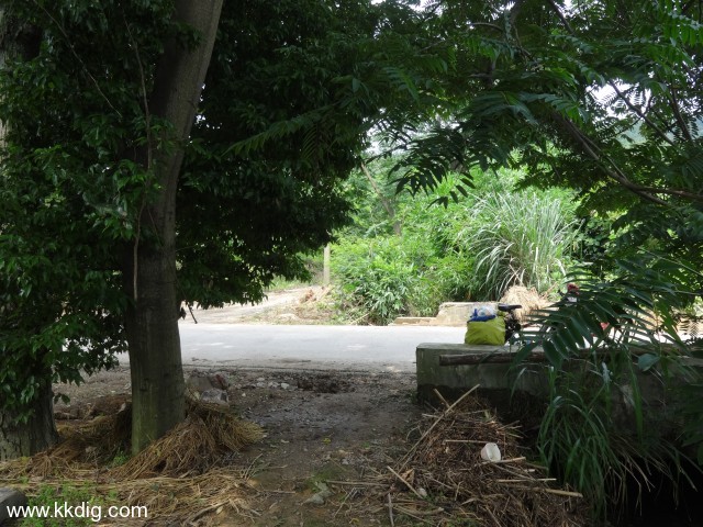 DSC03321