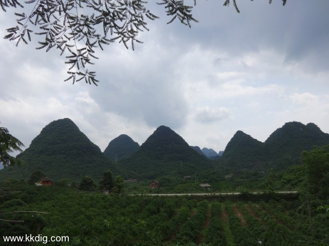 DSC03329