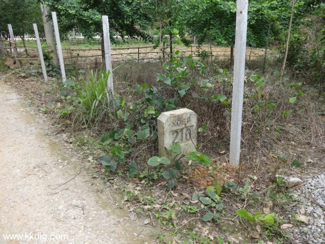 DSC03345
