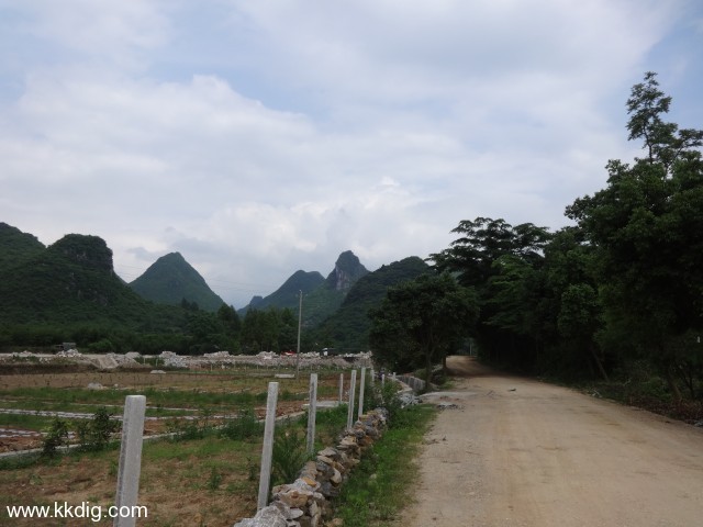 DSC03347