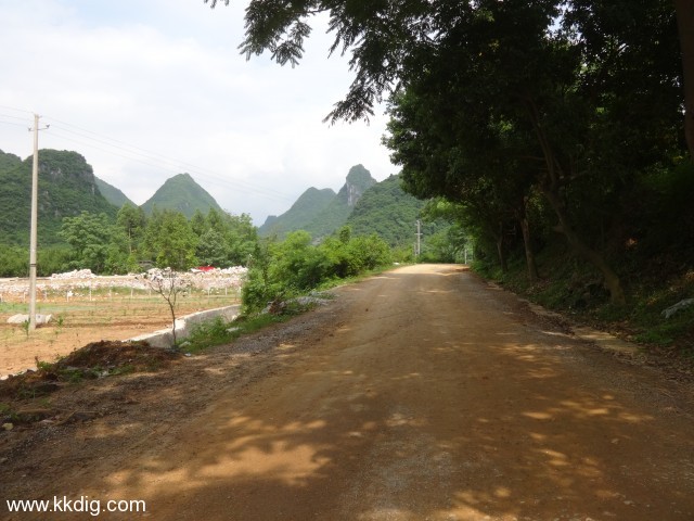 DSC03350