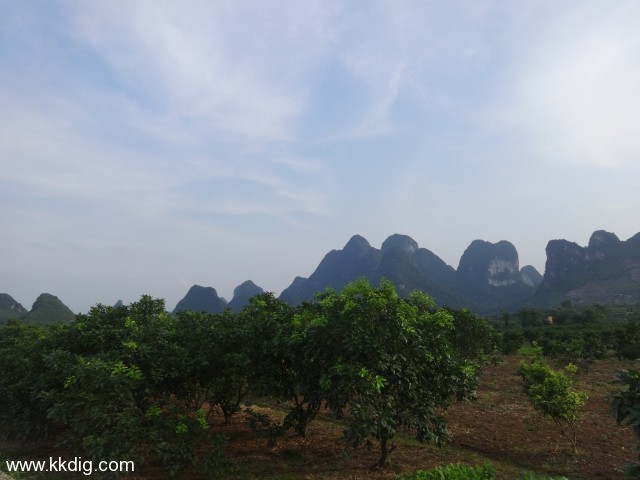 DSC03436