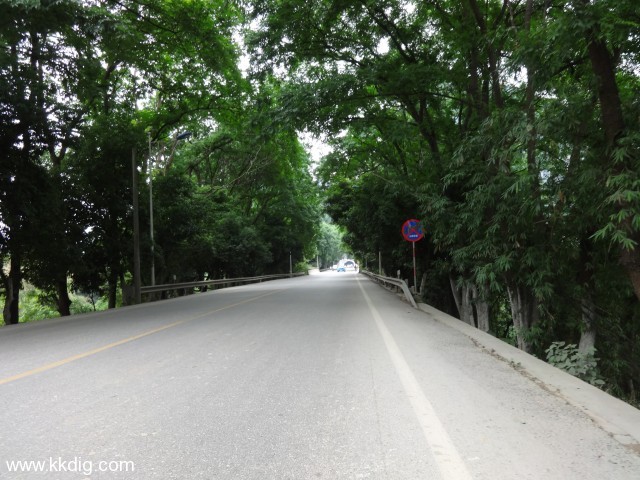 DSC03493